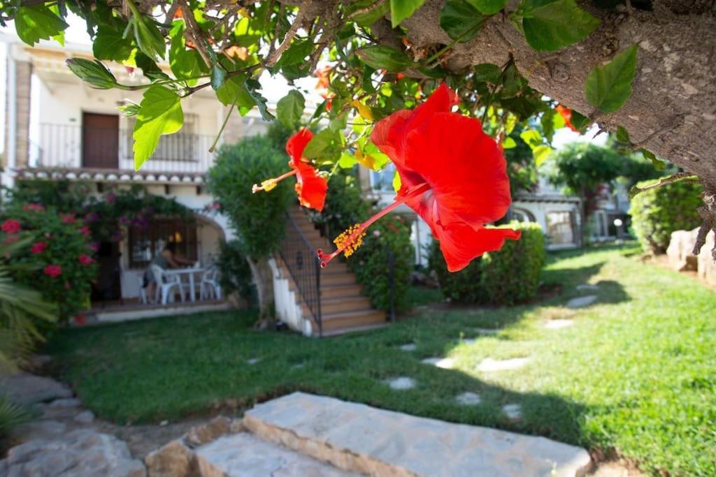 Apartamento Casa En Denia Con Piscina Y Jardin Exterior foto