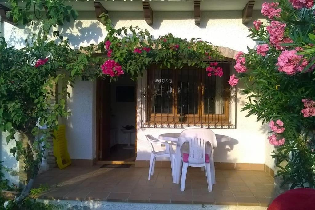 Apartamento Casa En Denia Con Piscina Y Jardin Exterior foto