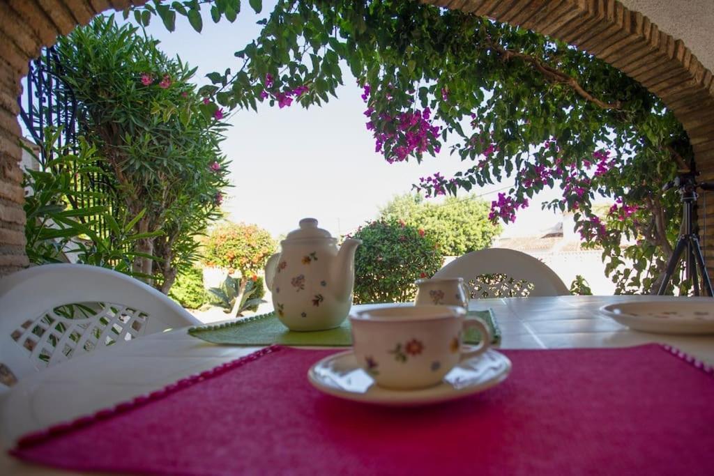 Apartamento Casa En Denia Con Piscina Y Jardin Exterior foto